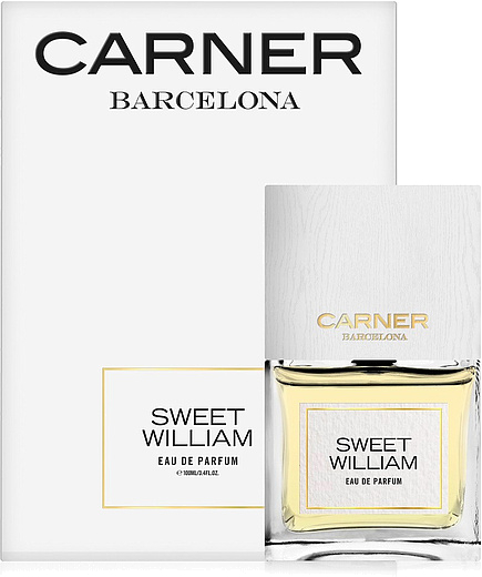 Carner Barcelona Sweet William