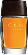 Cereus No. 14
