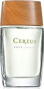 Cereus No.4