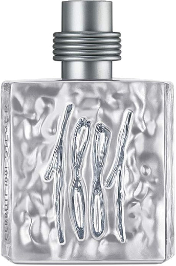 Cerruti Cerruti 1881 Silver