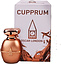 Chase Cupprum