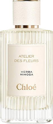 Chloe Herba Mimosa