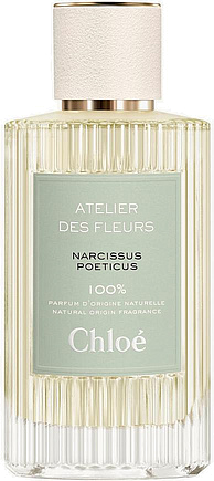 Chloe Narcissus Poeticus