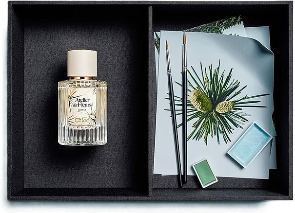 Chloe Cedrus Limited Edition