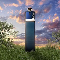 Christian Dior Addict