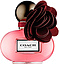 Coach Poppy Wild Flower