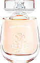 Creed Wind Flowers