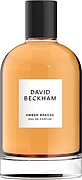 David Beckham Amber Breeze