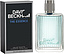 David Beckham The Essence