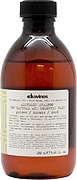 Davines Alchemic Shampoo Gold