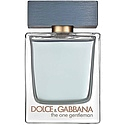 Dolce & Gabbana The One Gentleman