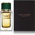 Dolce & Gabbana Velvet Vetiver