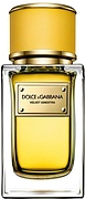 Dolce & Gabbana Velvet Ginestra