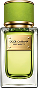 Dolce & Gabbana Velvet Mughetto