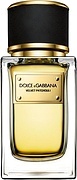 Dolce & Gabbana Velvet Patchouli