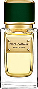 Dolce & Gabbana Velvet Vetiver
