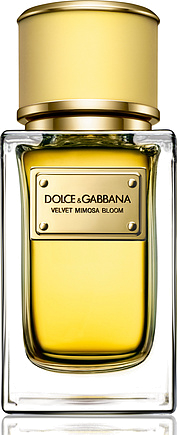 Dolce & Gabbana Velvet Mimosa Bloom