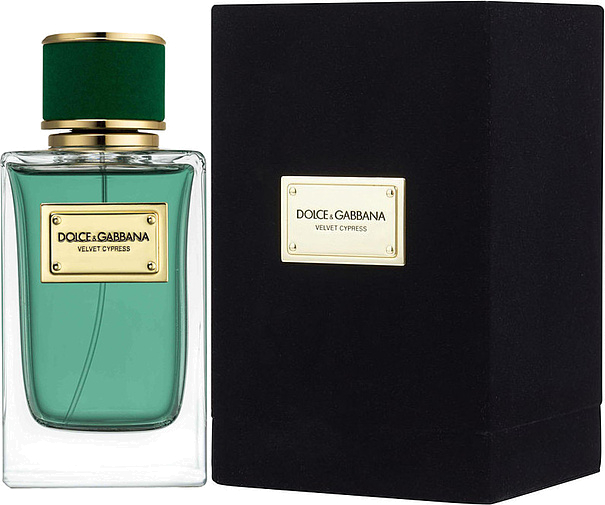 Dolce & Gabbana Velvet Cypress