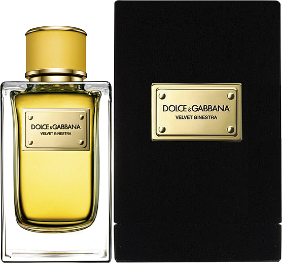Dolce & Gabbana Velvet Ginestra