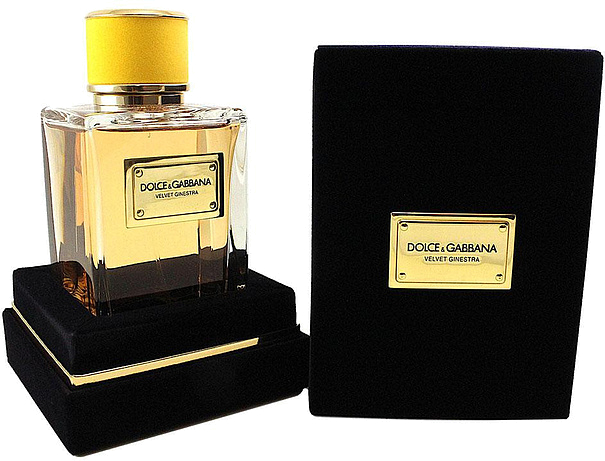 Dolce & Gabbana Velvet Ginestra