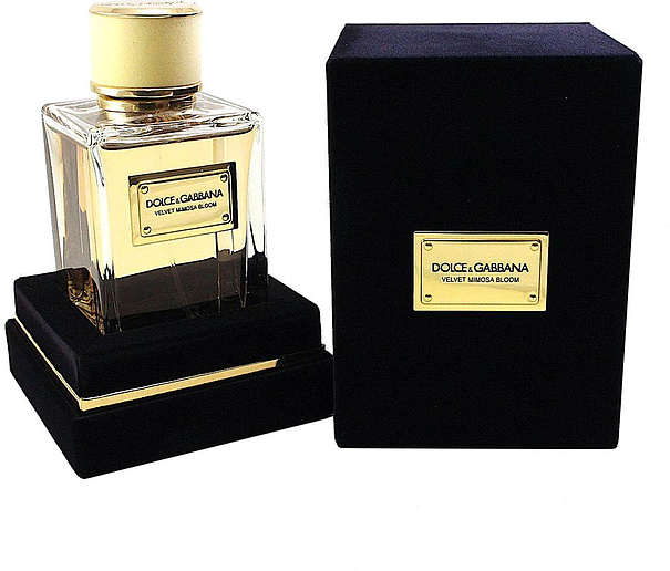 Dolce & Gabbana Velvet Mimosa Bloom