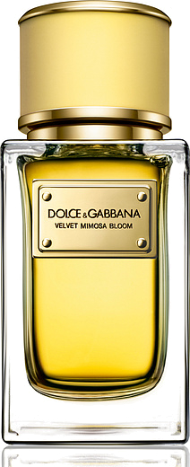 Dolce & Gabbana Velvet Mimosa Bloom