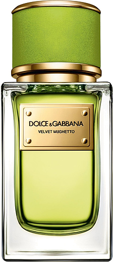 Dolce & Gabbana Velvet Mughetto