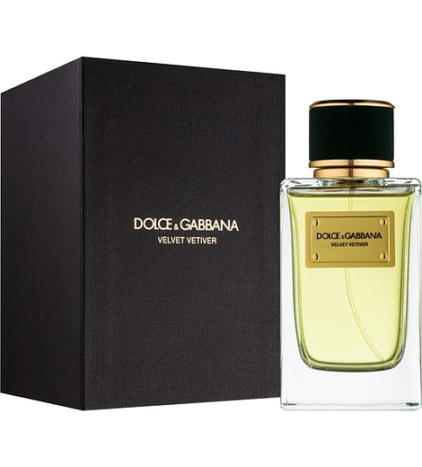 Dolce & Gabbana Velvet Vetiver