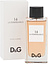 Dolce & Gabbana 14 La Temperance