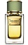Dolce & Gabbana Velvet Bergamot