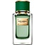 Dolce & Gabbana Velvet Cypress