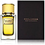 Dolce & Gabbana Velvet Mimosa Bloom