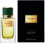 Dolce & Gabbana Velvet Vetiver