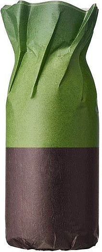 Dries Van Noten Cannabis Patchouli