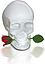 Ed Hardy Skulls & Roses for Her