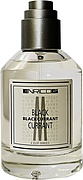 Enrico Gi Blackcurrant