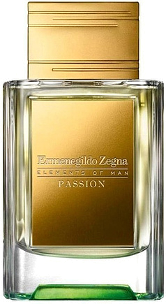 Ermenegildo Zegna Elements of Man Passion
