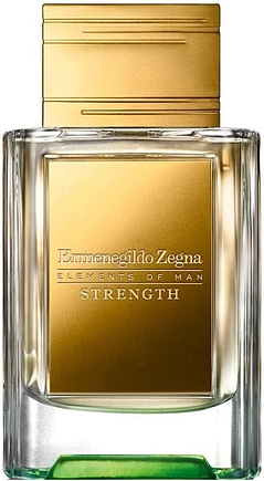 Ermenegildo Zegna Elements of Man Strength
