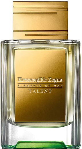 Ermenegildo Zegna Elements of Man Talent