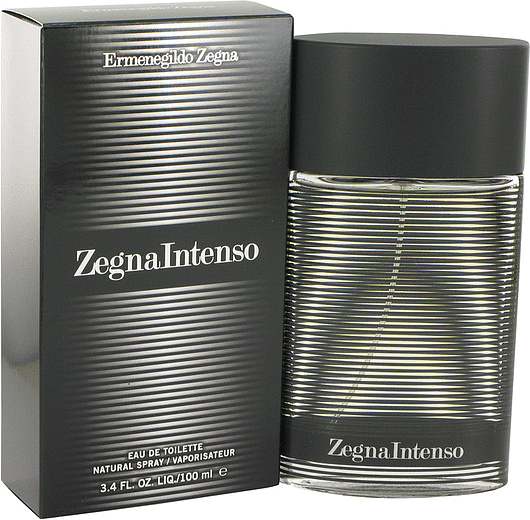 Ermenegildo Zegna Zegna Intenso
