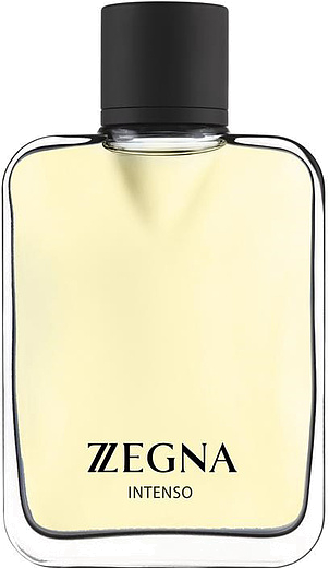 Ermenegildo Zegna Zegna Intenso