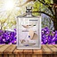 Escentric Molecules Molecule 01 + Iris