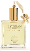 Esteban Angelic Flower