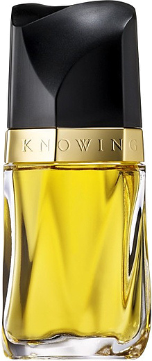 Estee Lauder Knowing