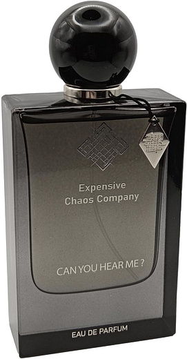 Expensive Chaos Company Can You Hear Me?