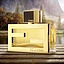 Fendi Fan di pour Femme