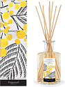 Fragonard Mimosa