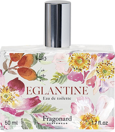Fragonard The EglantIne Flower