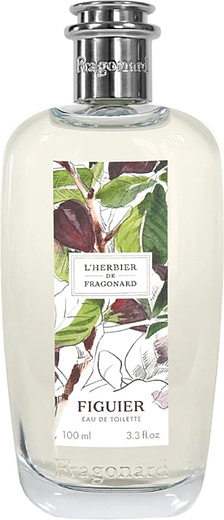 Fragonard L'Herbier Figuier