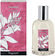 Fragonard Santal